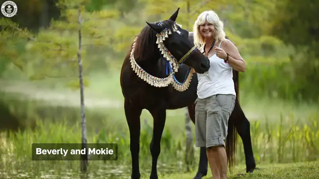 'Video thumbnail for Oldest Horse'