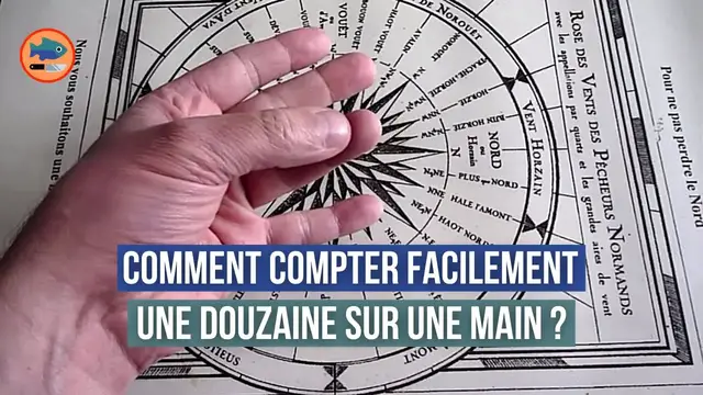 'Video thumbnail for Comment compter une douzaine sur une main ?'