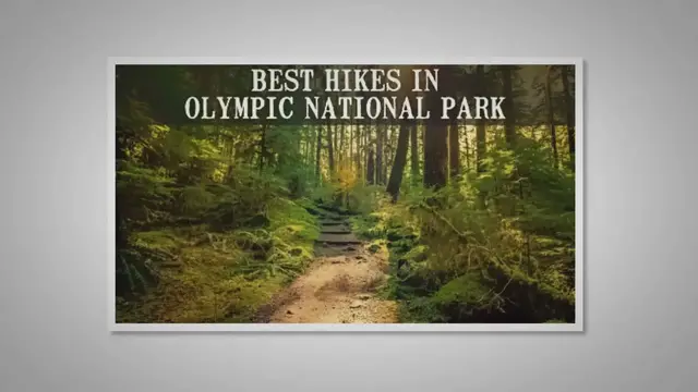 'Video thumbnail for 20 Best Hikes in Olympic National Park'