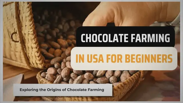 'Video thumbnail for Chocolate Farming in usa for Beginners'