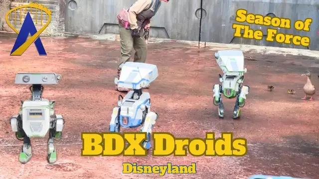 'Video thumbnail for BDX Droids at Disneyland for Season of The Force'