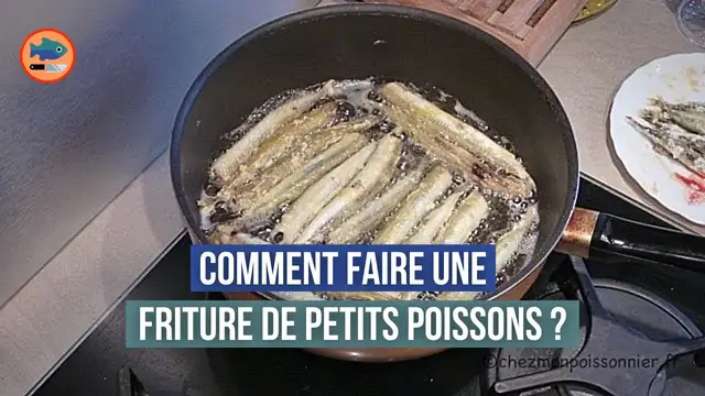 'Video thumbnail for Comment faire une friture de petits poissons ? (Lançons et Éperlans)'