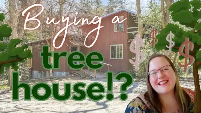 'Video thumbnail for budget girl: buying a treehouse? 1 acre hidden real estate investment!'