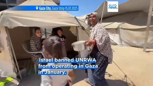 'Video thumbnail for Foreign ministers of 28 countries call for immediate ceasefire in Gaza'