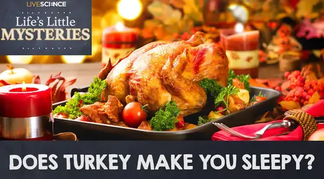 'Video thumbnail for Is There A Myth That Eating Turkey Makes You Sleepy?'