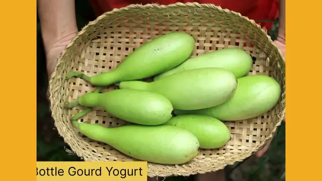 'Video thumbnail for Delicious Bottle Gourd Curd Recipe '