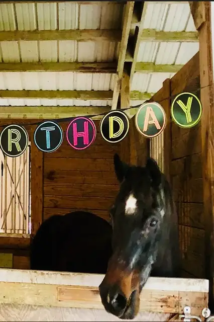 'Video thumbnail for World's oldest horse sadly dies '