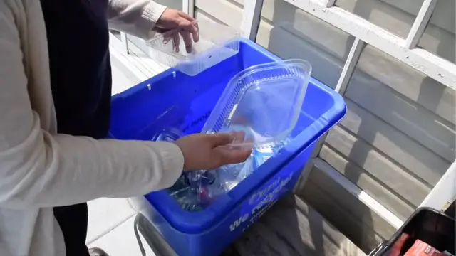 'Video thumbnail for Grab your leftover plastic containers for this GENIUS garden decor idea!'