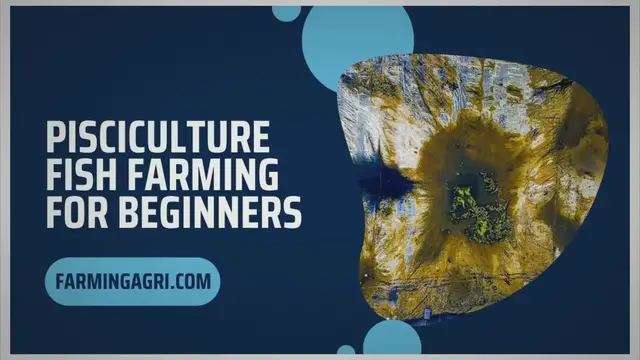 'Video thumbnail for Pisciculture Fish Farming for Beginners'