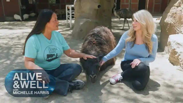 'Video thumbnail for Healing Hugs: The Gentle Barn's Unique Animal Therapy'