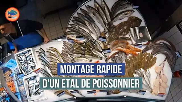 'Video thumbnail for Comment monter un étal de poissonnier ? (Time lapse)'