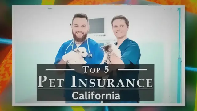 'Video thumbnail for Dog Insurance California '