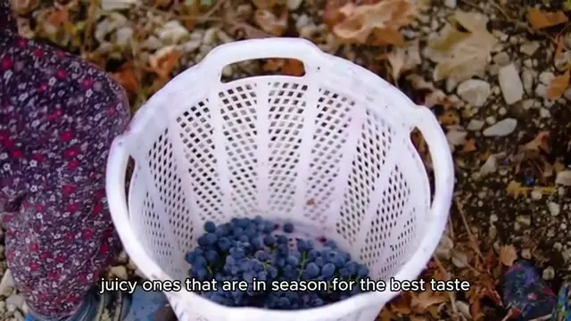 'Video thumbnail for Grilled Blueberry Galette'