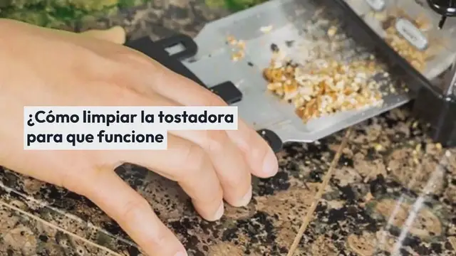 'Video thumbnail for ¿Cómo limpiar la tostadora para que funcione correctamente? 2 consejos simples y efectivos:'