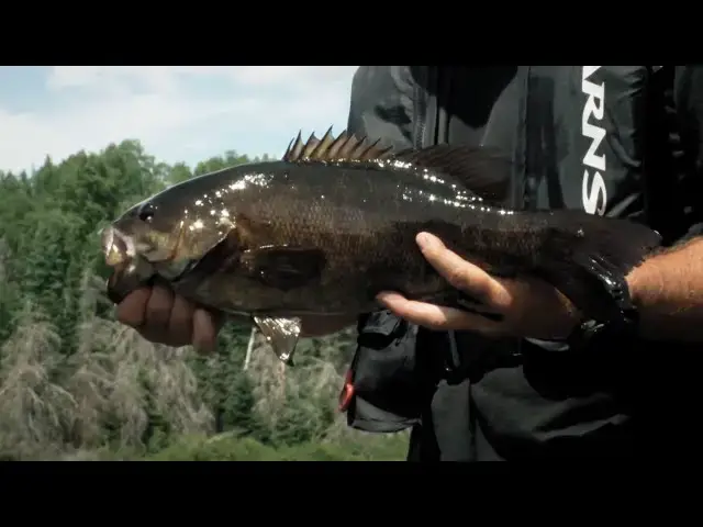 'Video thumbnail for Back Lake Trophy Smallmouth | Fish'n Canada'