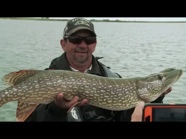 'Video thumbnail for How To Add a Stinger Hook to Your Swimbait'