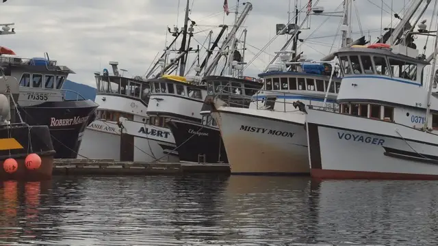 'Video thumbnail for The Lifeline of the Isles of Scilly: How Maritime Transport Shapes the Island Economy'