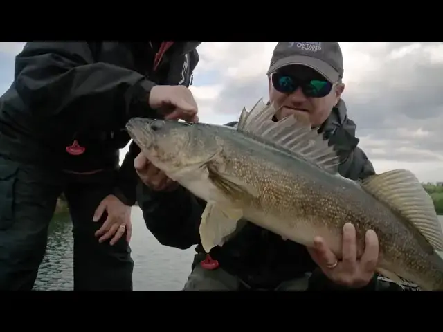 'Video thumbnail for Huge Walleye Using Side Scanning on Hawk Lake | Fish'n Canada'