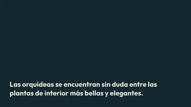 'Video thumbnail for Orquídeas, el truco para que duren para siempre: nunca habían sido tan frondosas y fuertes'