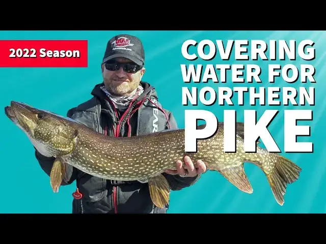 'Video thumbnail for Covering Water for Northern Pike'