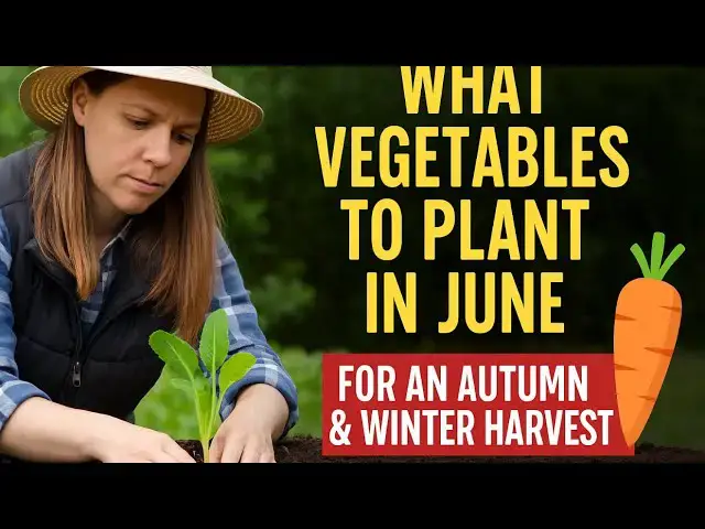 'Video thumbnail for 🥕 What Vegetables to Plant in June for an Autumn & Winter Harvest | Cold-Season Growing Guide'