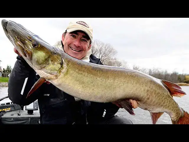 'Video thumbnail for Fall Fishing Tips and Tricks from Gord Pyzer | Fish Talk with the Doc'