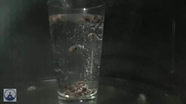 'Video thumbnail for Microwave Experiments Dancing Raisins'