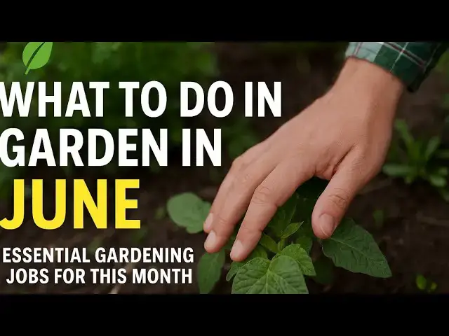 'Video thumbnail for 🌿 What to Do in the Garden in June | Essential Gardening Jobs for This Month'