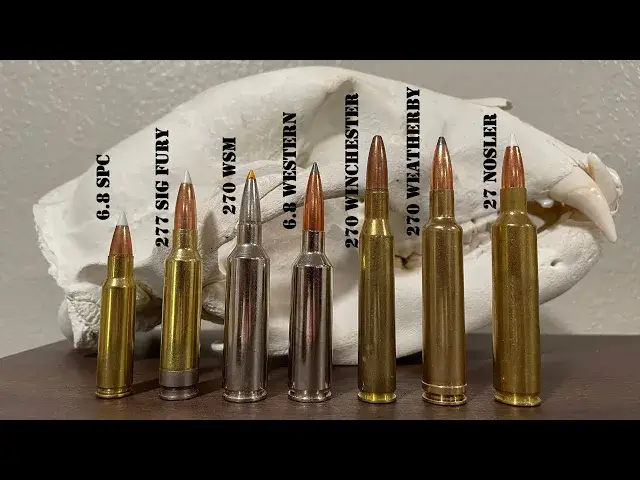 'Video thumbnail for 270 Caliber Cartridges: The Ultimate Guide'