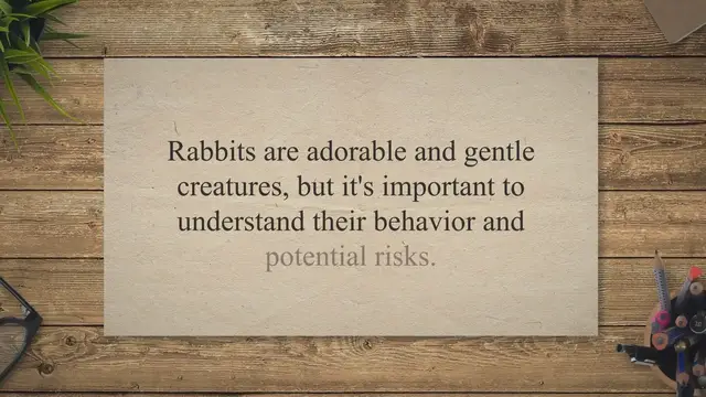 'Video thumbnail for Do Rabbits Bite? Tips for Handling'