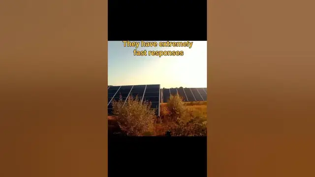'Video thumbnail for Solar Cell - Working, Types and applications | Easy Electronics'