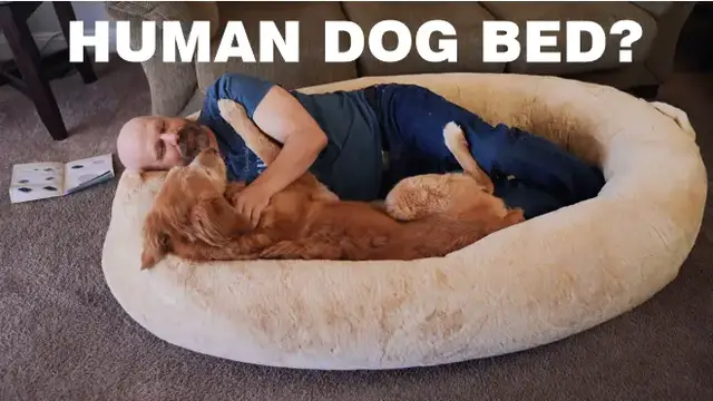 'Video thumbnail for Plufl Review: Honest Look at the $400 "Human Dog Bed"'
