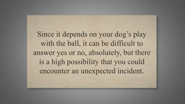 'Video thumbnail for Are Golf Balls Safe for Dogs? What You Need To Know.'
