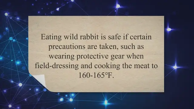 'Video thumbnail for Can You Eat Wild Rabbit? Rabbit Guide 2023'