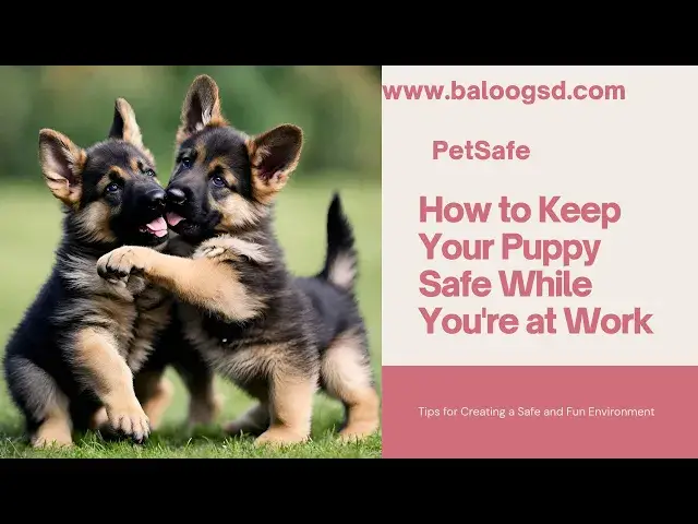 'Video thumbnail for How to Make Sure Your Puppy is Safe While You’re Gone'