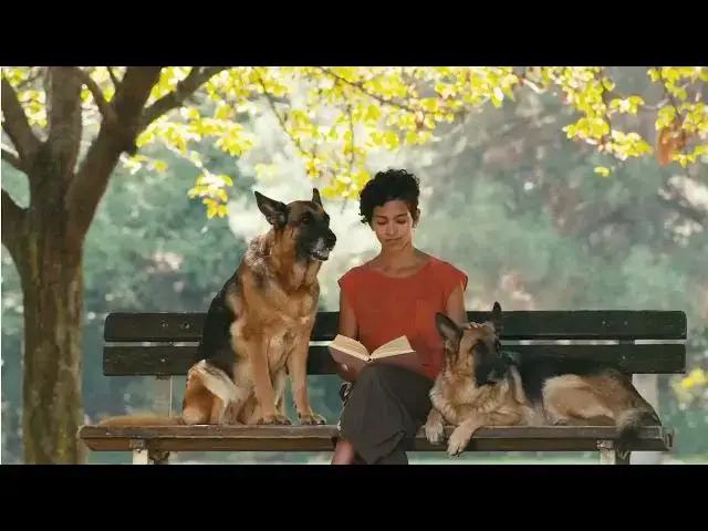 'Video thumbnail for 8 Crucial Mistakes Every German Shepherd Owner Should Avoid'