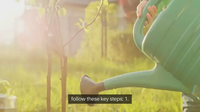 'Video thumbnail for How to Grow Your Own Outdoor Fruit Trees'