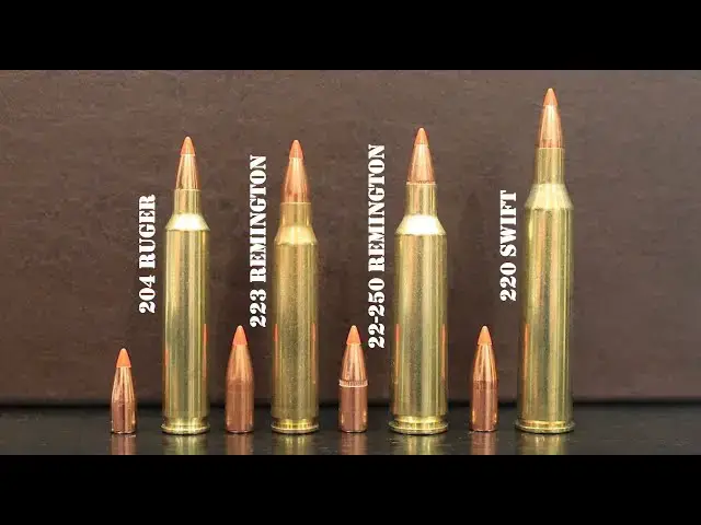'Video thumbnail for 204 Ruger vs 223 Remington vs 22-250 Remington vs 220 Swift Review & Comparison'