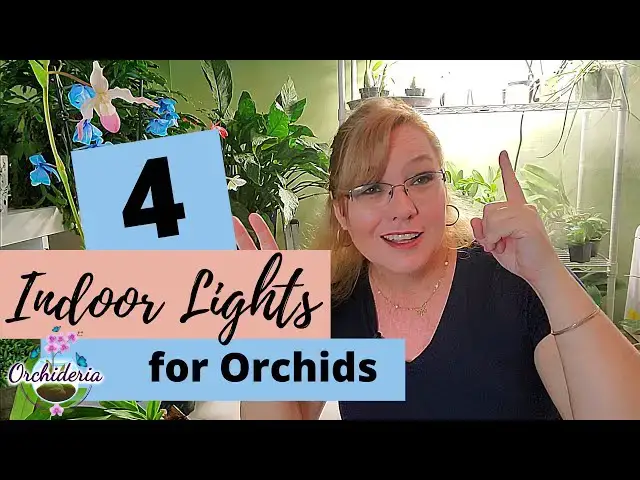 'Video thumbnail for Light Requirements for Indoor Orchids: 4 Solutions for Artificial Light'