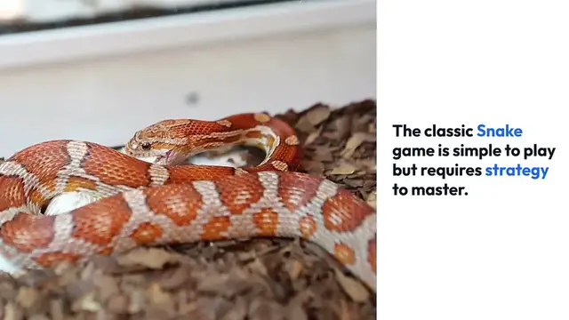 'Video thumbnail for Mastering_Snake_Game_Strategies'