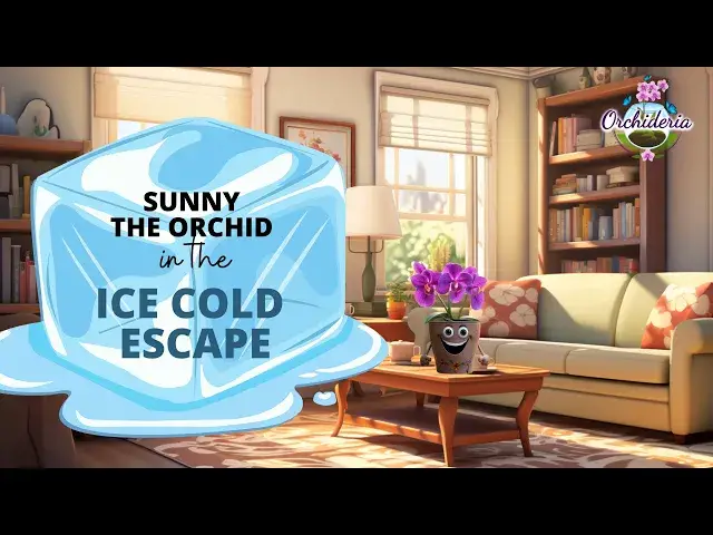 'Video thumbnail for Sunny, the orchid, in the Ice Cold Escape'