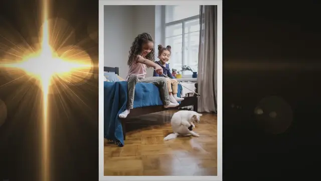 'Video thumbnail for Best Cat Breeds for Kids: A Comprehensive Guide'