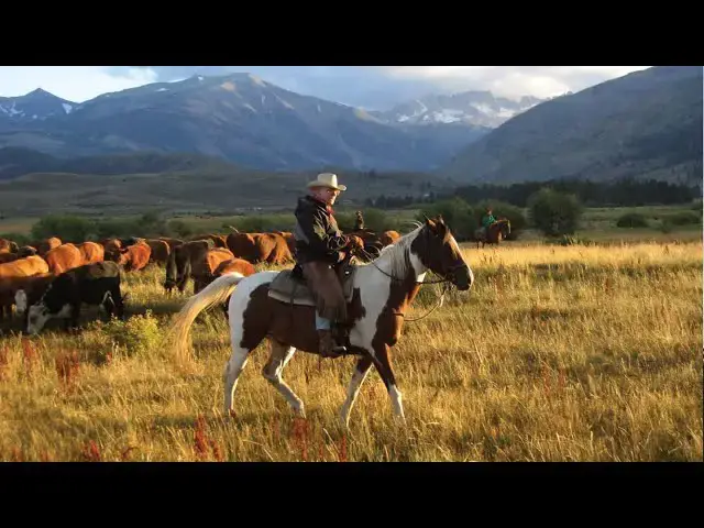 'Video thumbnail for Top 5 Montana Vacation Ranches'