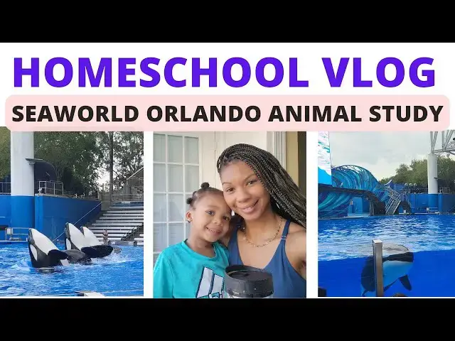 'Video thumbnail for Homeschool at Sea World Orlando: Sea Animal Unit Field Trip'