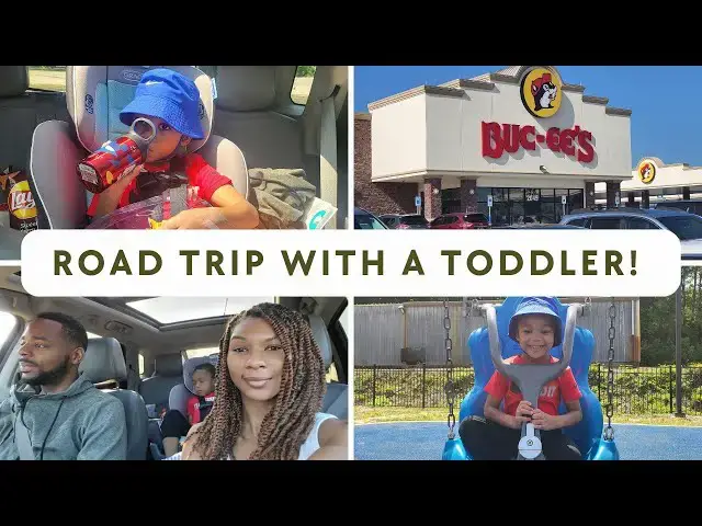'Video thumbnail for Surviving a Road Trip With a Toddler: How We Did It! A Family Travel Vlog'