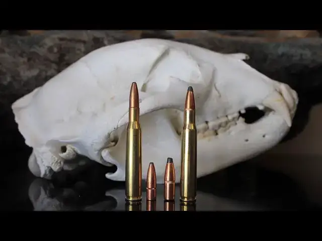 'Video thumbnail for 270 vs 30-06: Which Is Best For You?'