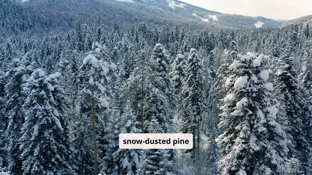 'Video thumbnail for savor culinary experiences at  a Canadian ski resorts'