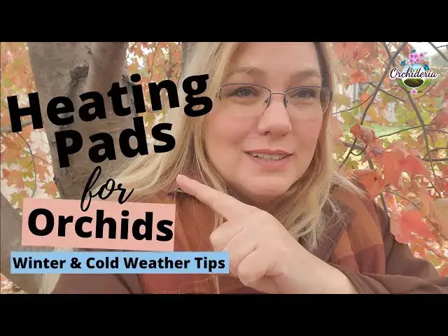 'Video thumbnail for Heating Pads for Orchids: Luxury or Necessity For Winter?'