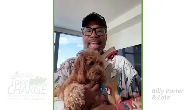 'Video thumbnail for Billy Porter, Andy Karl, Orfeh, and More Debut 'It Had to Be You' to Raise Awareness About Canines With Cancer'