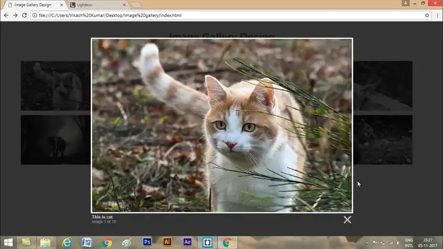'Video thumbnail for How To Create Image Gallery In HTML, CSS and Javascript _ Lightbox Gallery'